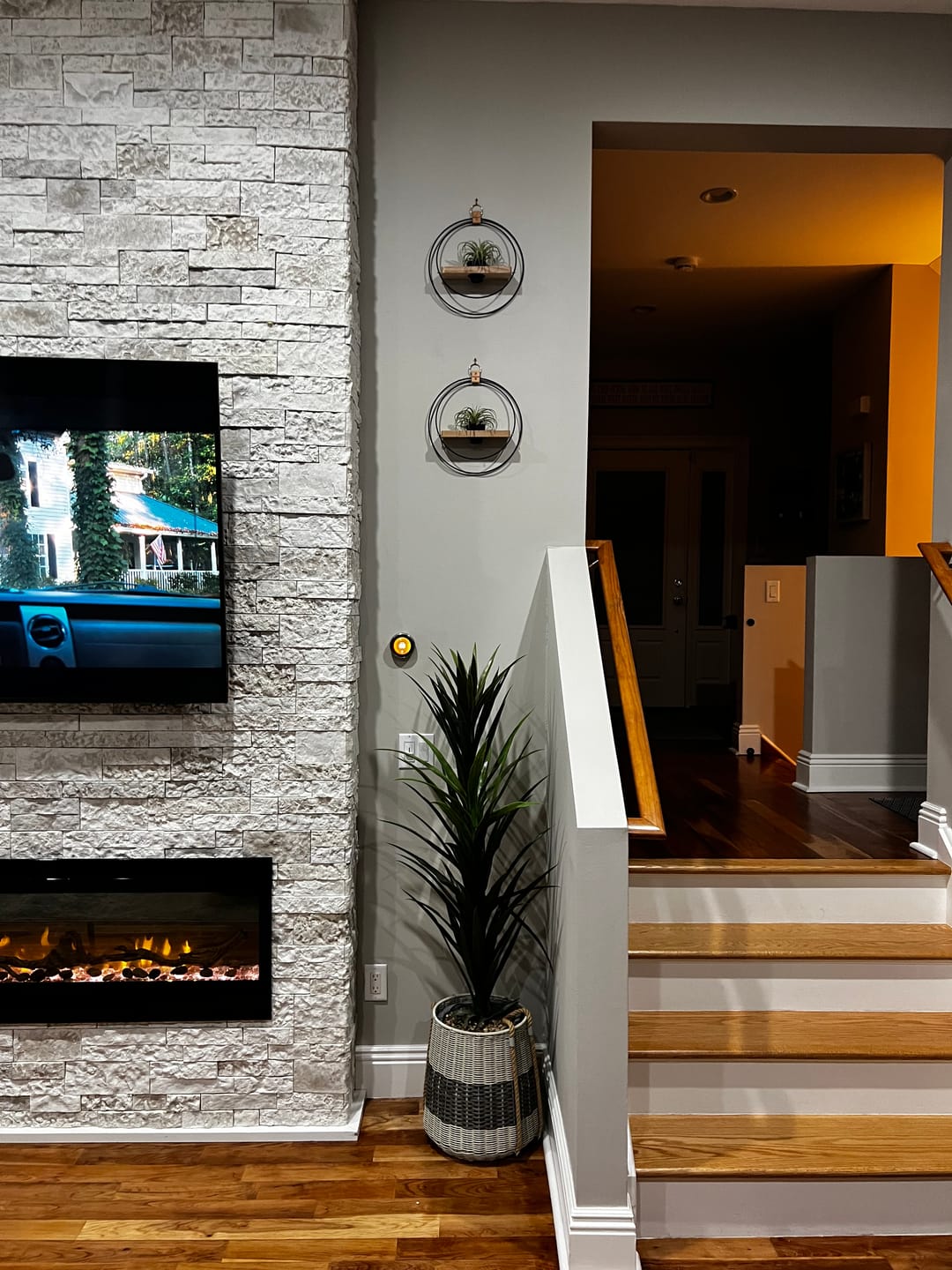 Customer photo review of Air Plant V-Hanger