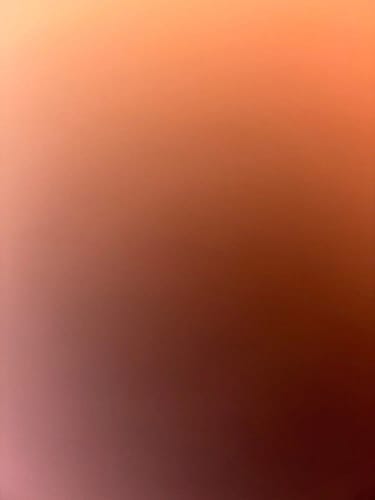 Customer photo review of Zyra Pink Blush Shams
