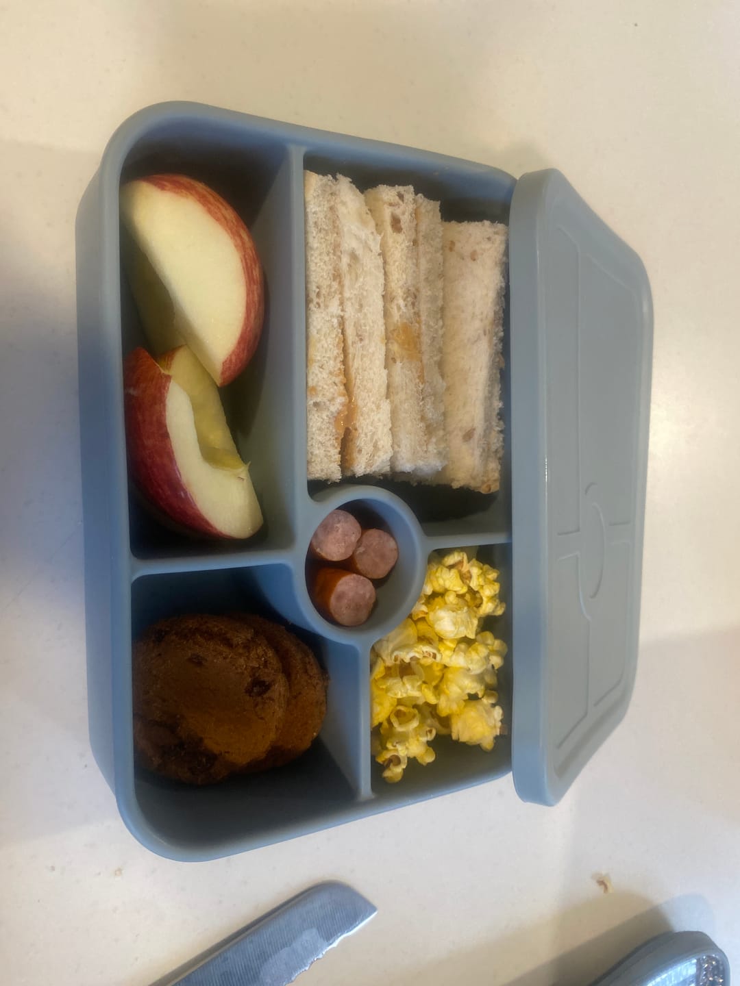 Customer photo review of Big Bento