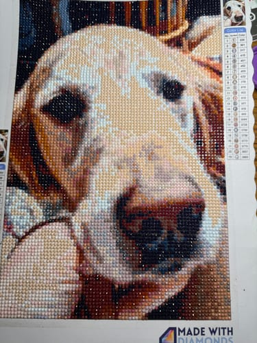 Customer photo review of Custom Diamond Painting Kit