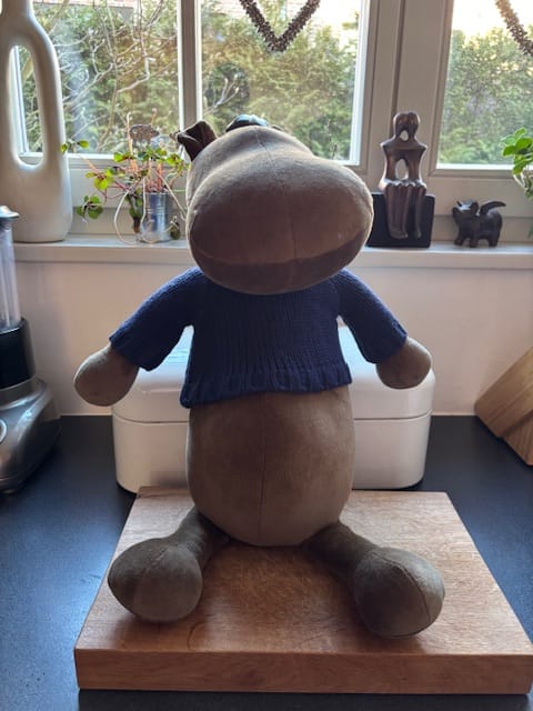 Customer photo review of MOMO L'HIPPOPOTAME - XL