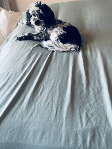 Customer photo review of TENCEL Lyocell Eucalyptus Cooling Sheet Set