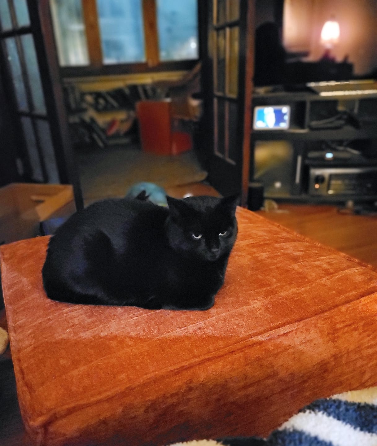 Customer photo review of M1 Ottoman Sofa Seat