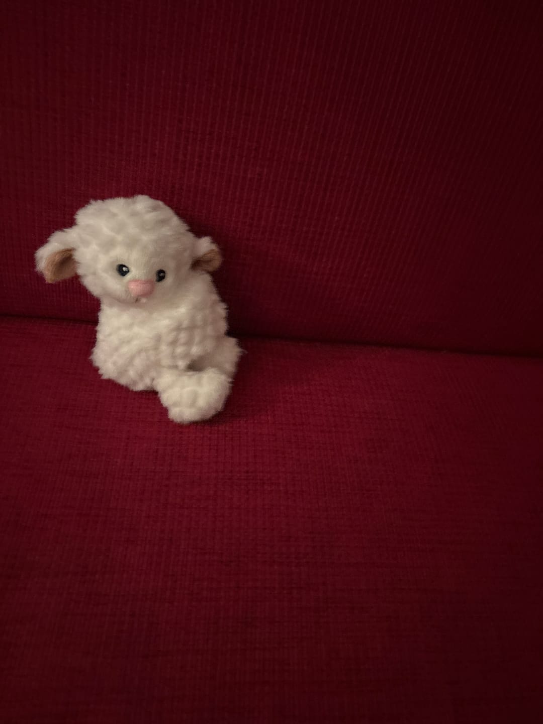 Customer photo review of Mini Lotgenootje Schaap