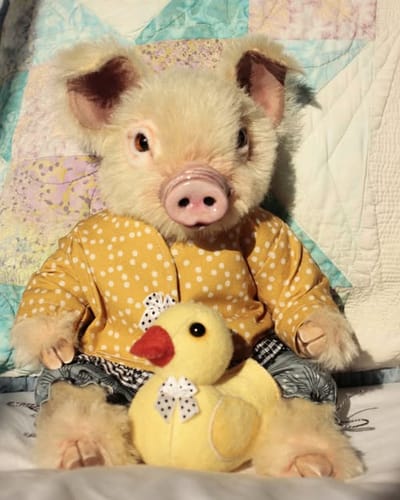 Customer photo review of Baby Pig PDF Pattern  Approx 21cm Seated