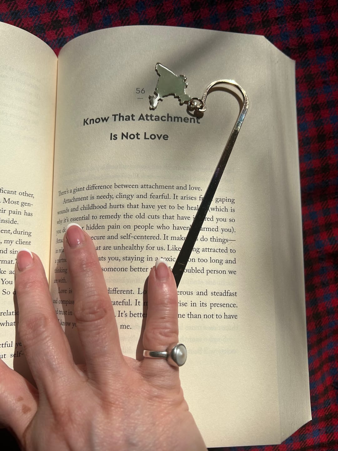 Customer photo review of Bookmark Hook Design - India Map