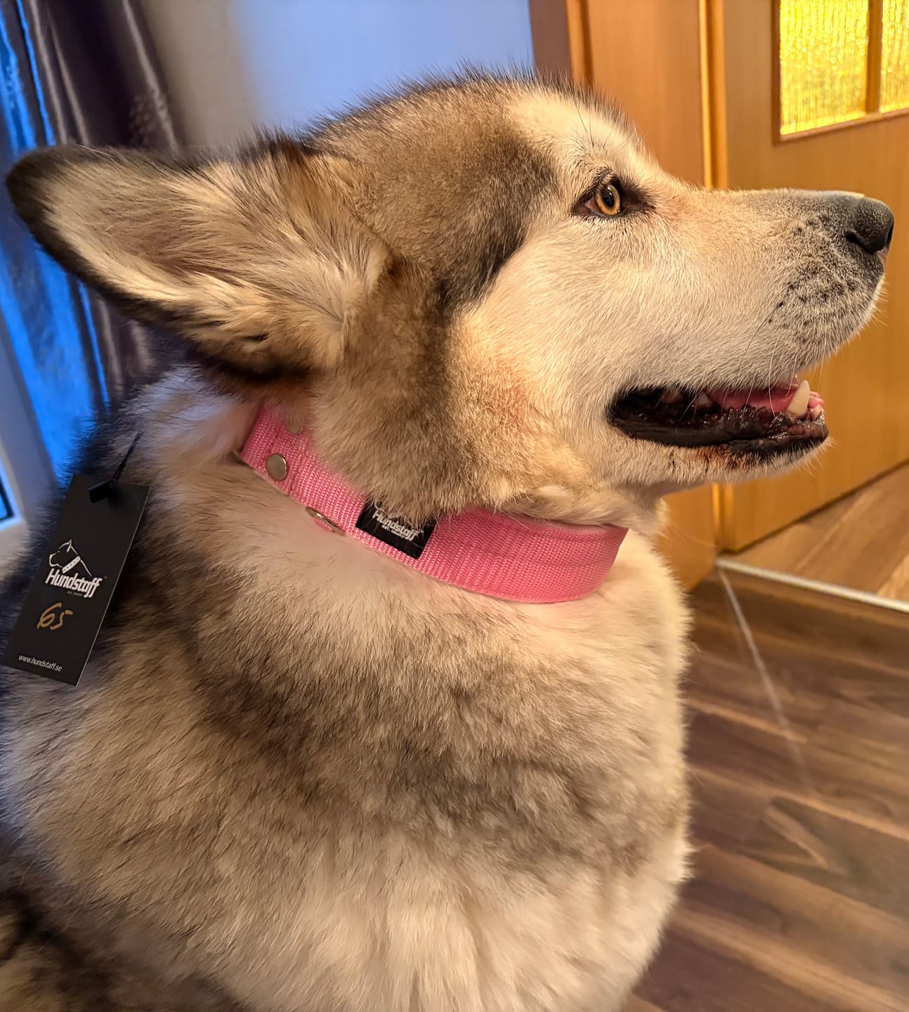 Customer photo review of Szeroka obroża półzaciskowa - Martingale Baby Pink