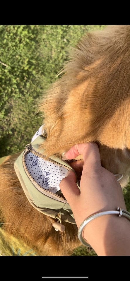 Customer photo review of Dog Cooling Collar with Reusable Ice Packs – Waterproof, Adjustable & Skin-Safe Design (No Direct Ice Contact)