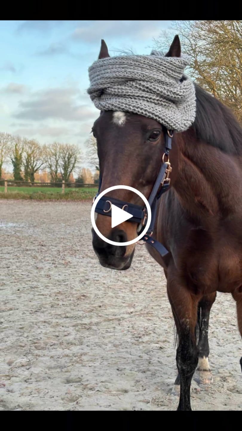 Customer video review of Kristallkraft Move