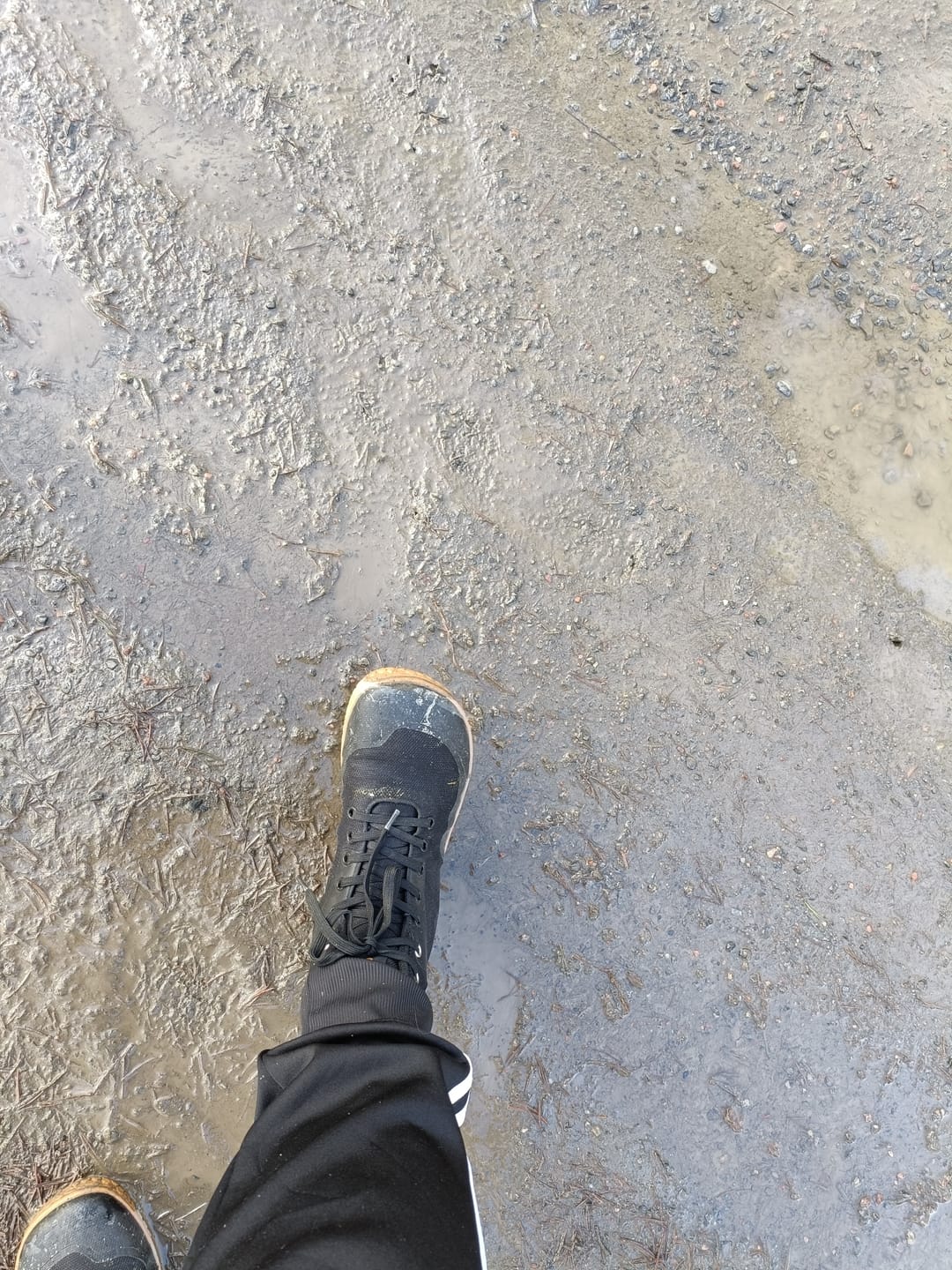 Customer photo review of Vaistoa Tuohi 2