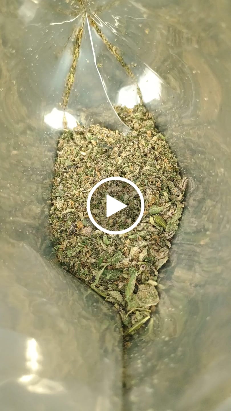 Customer video review of No 5. Sherbet THCa Shake