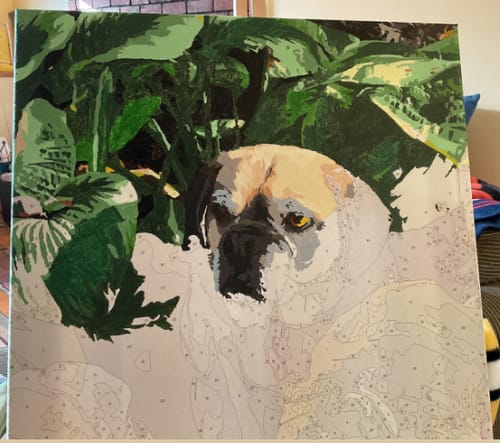 Customer photo review of Custom Paint By Numbers - Personalized Pet Portraits
