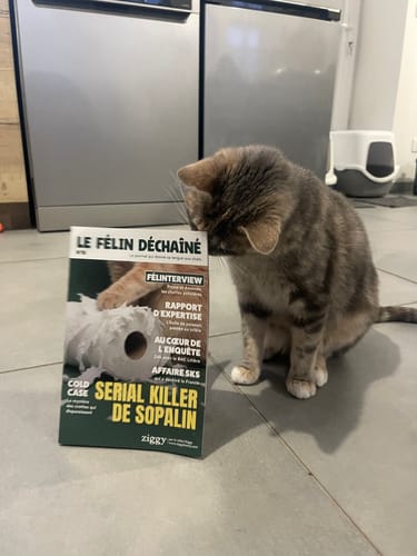 Le chat d'un client regarde un magazine parodique reçu avec sa commande de croquettes au poulet.