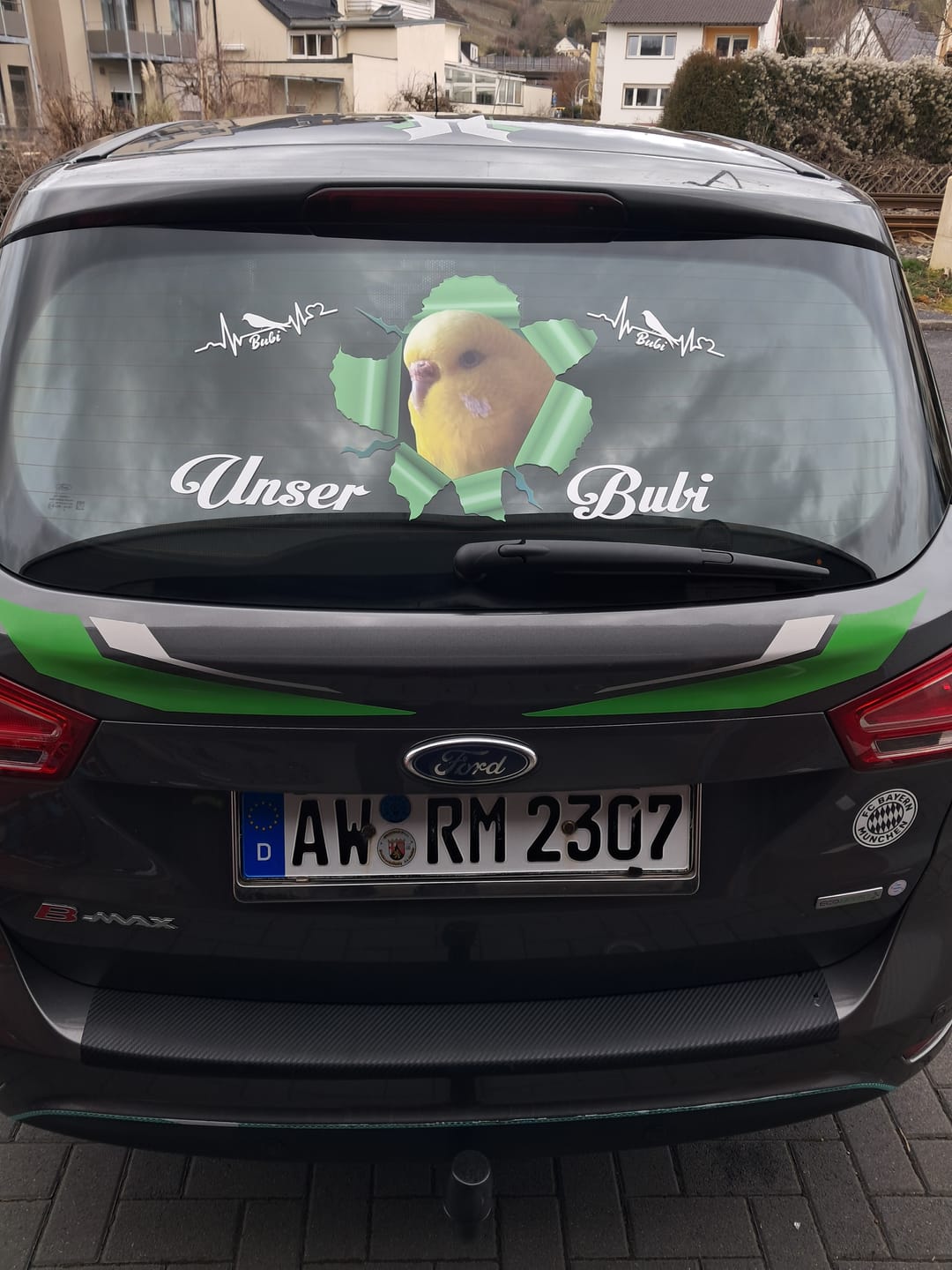 Customer photo review of Personalisierter Autoaufkleber - Spähendes Foto