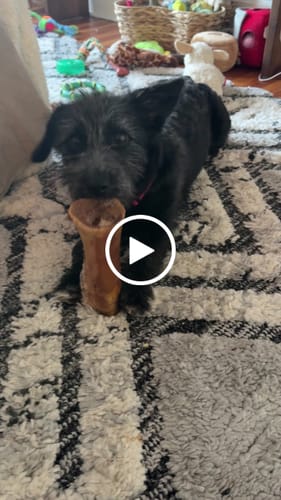 Customer video review of Smoked Beef Marrow Bone
