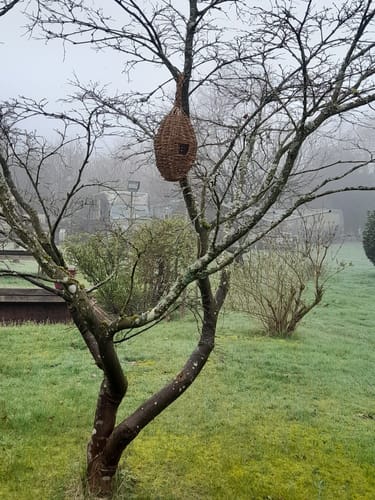Customer photo review of The Bird Box - Course and Kit