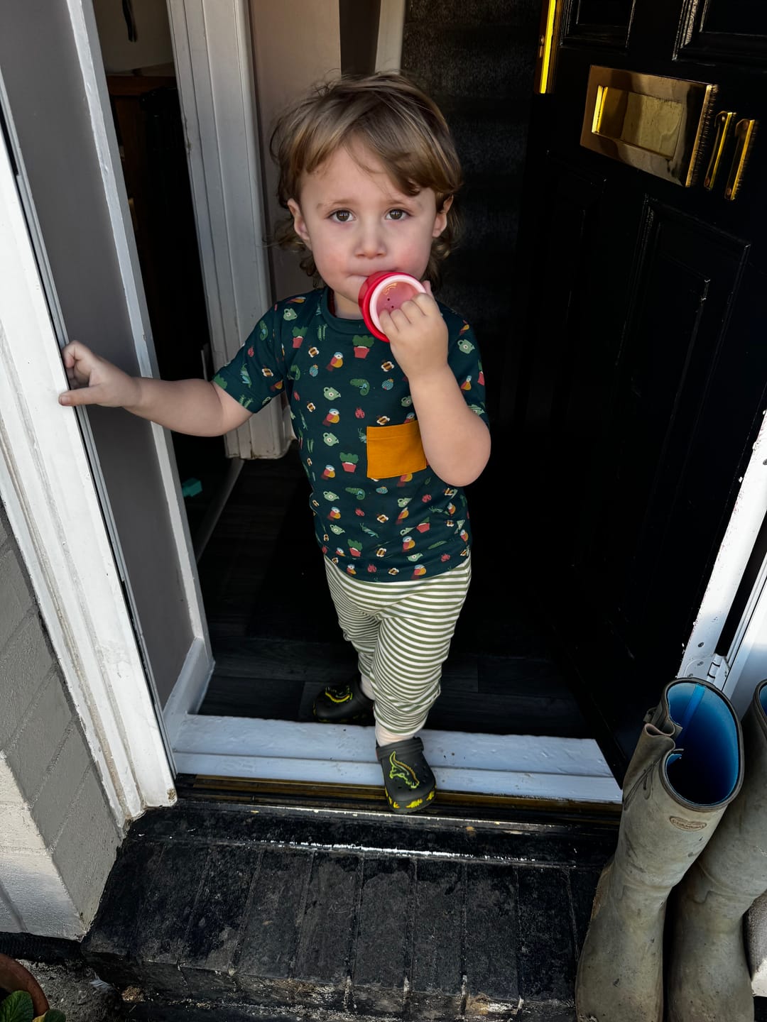 Customer photo review of Spring Garden Organic T Shirt & Jogger Playset