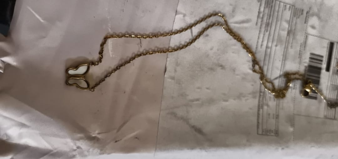 Customer photo review of Little Butterfly Necklace