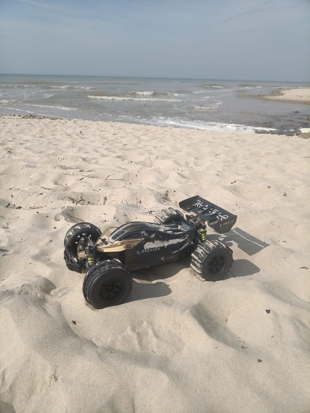 Customer photo review of RC Paddle Tires For RZ001