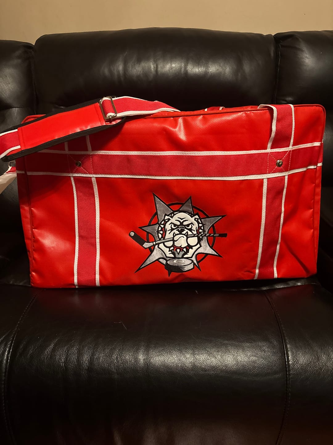 Customer photo review of Custom Coaches Bag