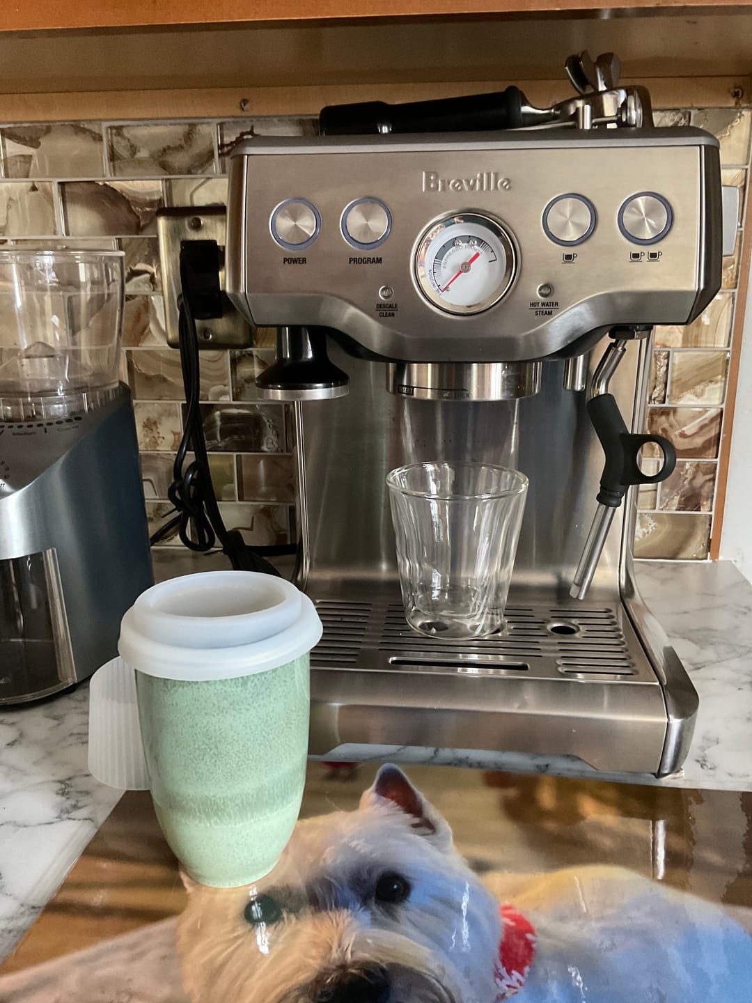 Customer photo review of Emerald Cup 12oz