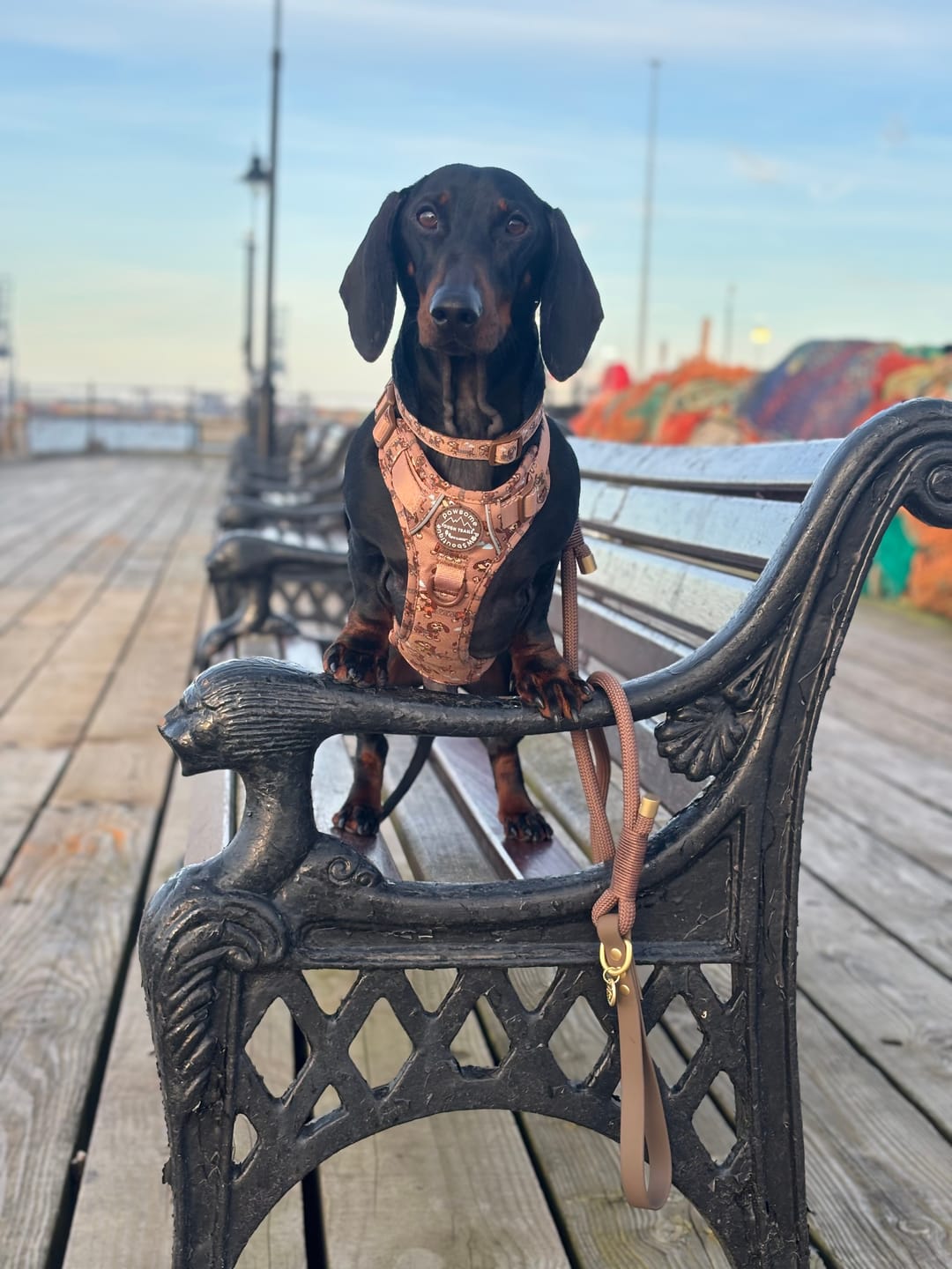 Customer photo review of Disney© Tough Trails™ Harness - Slinky