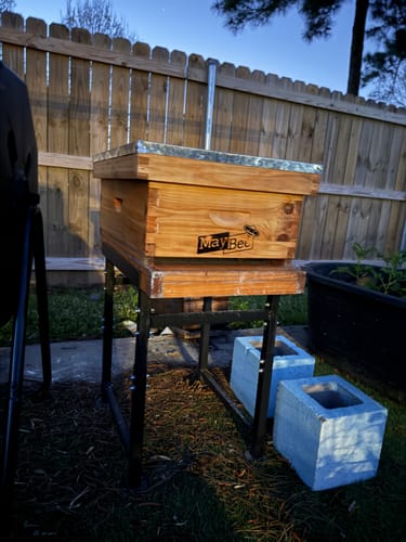 Customer photo review of MayBee Hives Unassemble 8 Frame Medium Super Bee Box Beeswax Coated Bee Hives Includes Wooden Frames , Beeswax Plastic Foundations