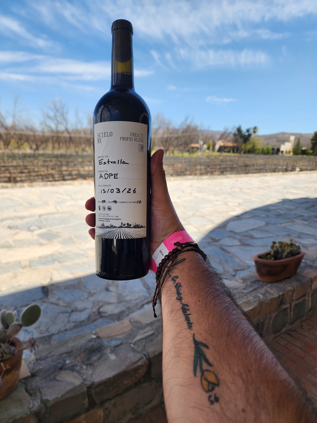 Customer photo review of Crea Tu Vino