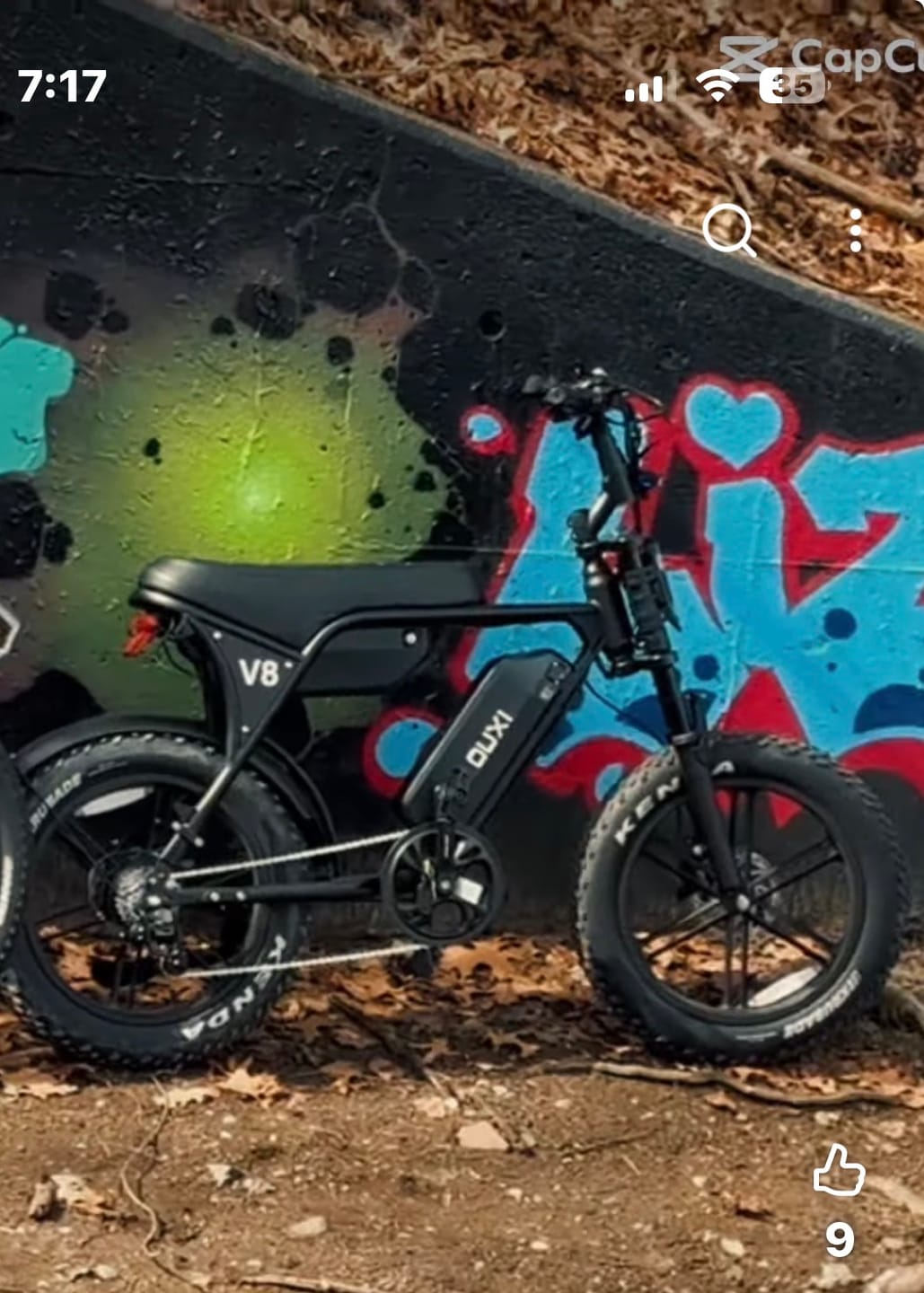Customer photo review of OUXI V8 Max 750W Dual Battery Electric Bike