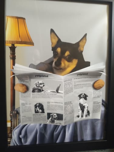 Customer photo review of Cozy session - Personalized Poster
