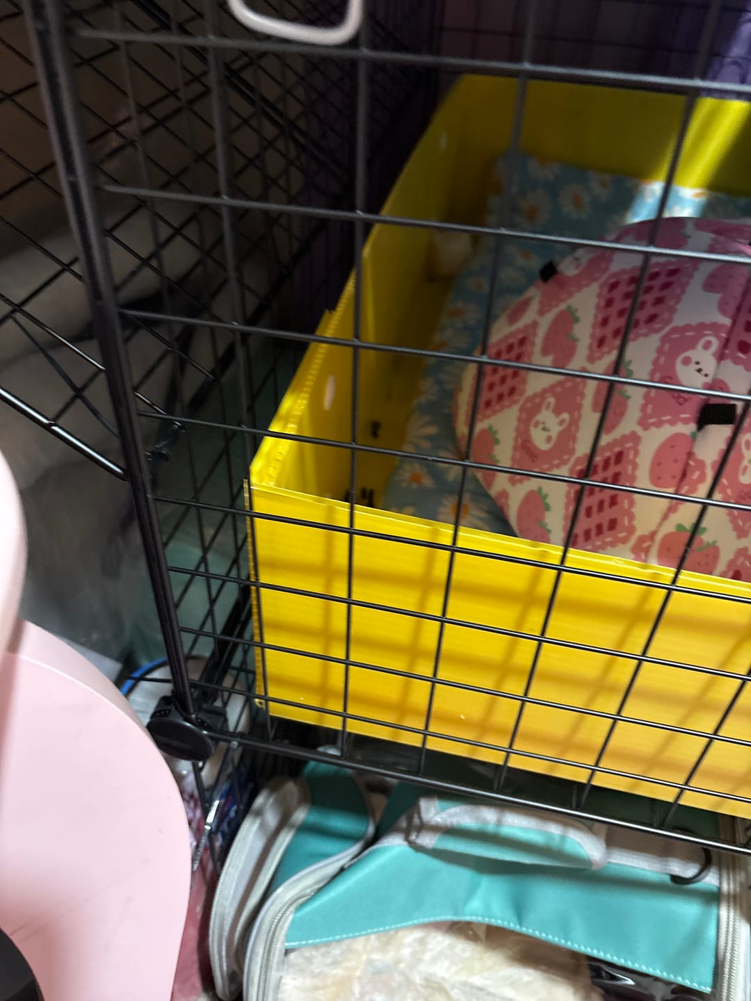Customer photo review of Fleece Liners | Daisy