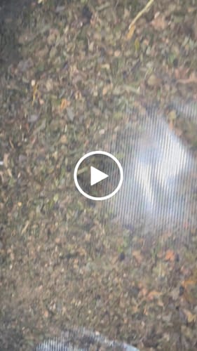 Customer video review of Shipping Protection by Route