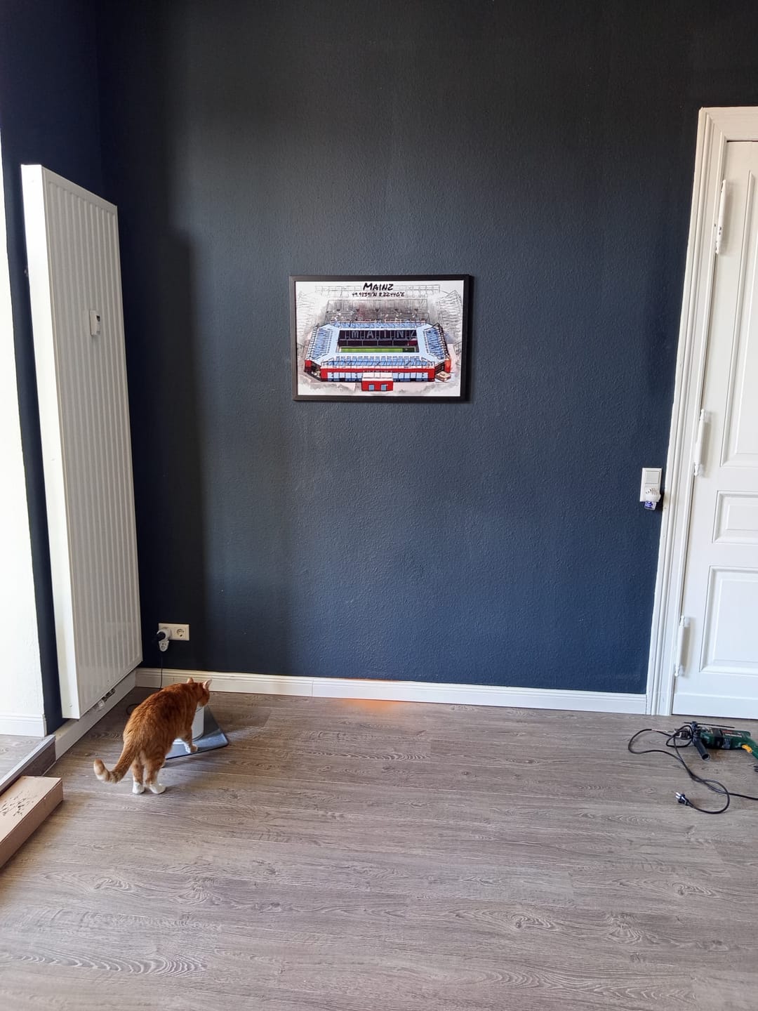 Customer photo review of Stadion Poster Mainz Art Print