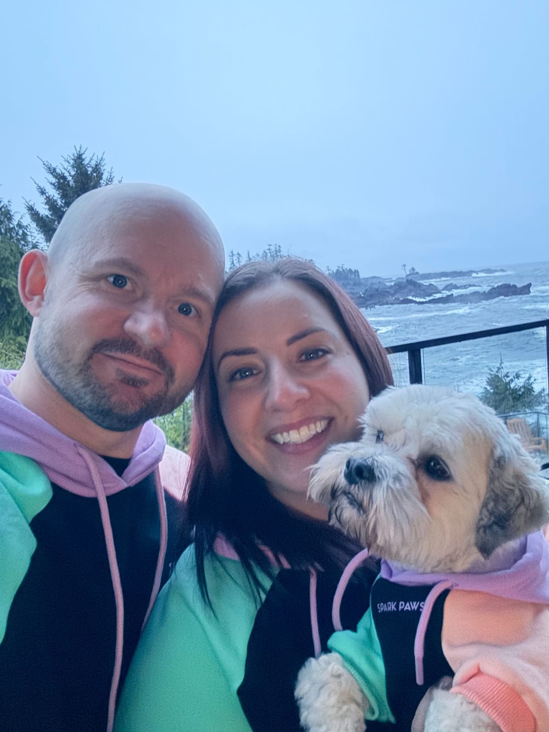 Customer photo review of Color Block Dog Hoodies