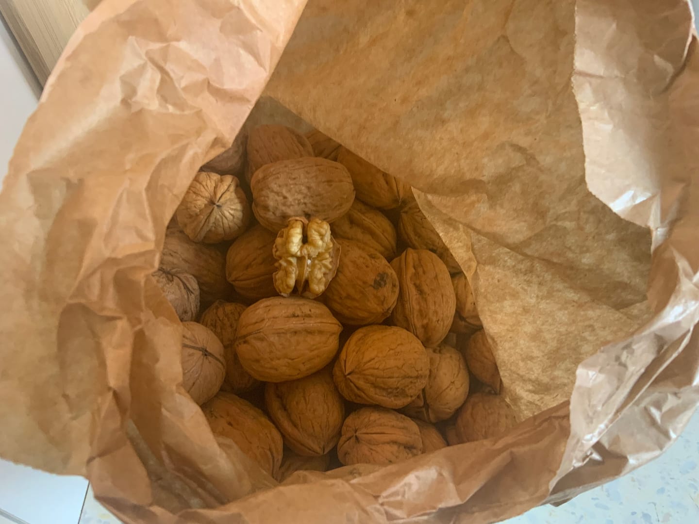 Customer photo review of Walnüsse „Franquette“ Bio original Grenoble AOP neue Ernte