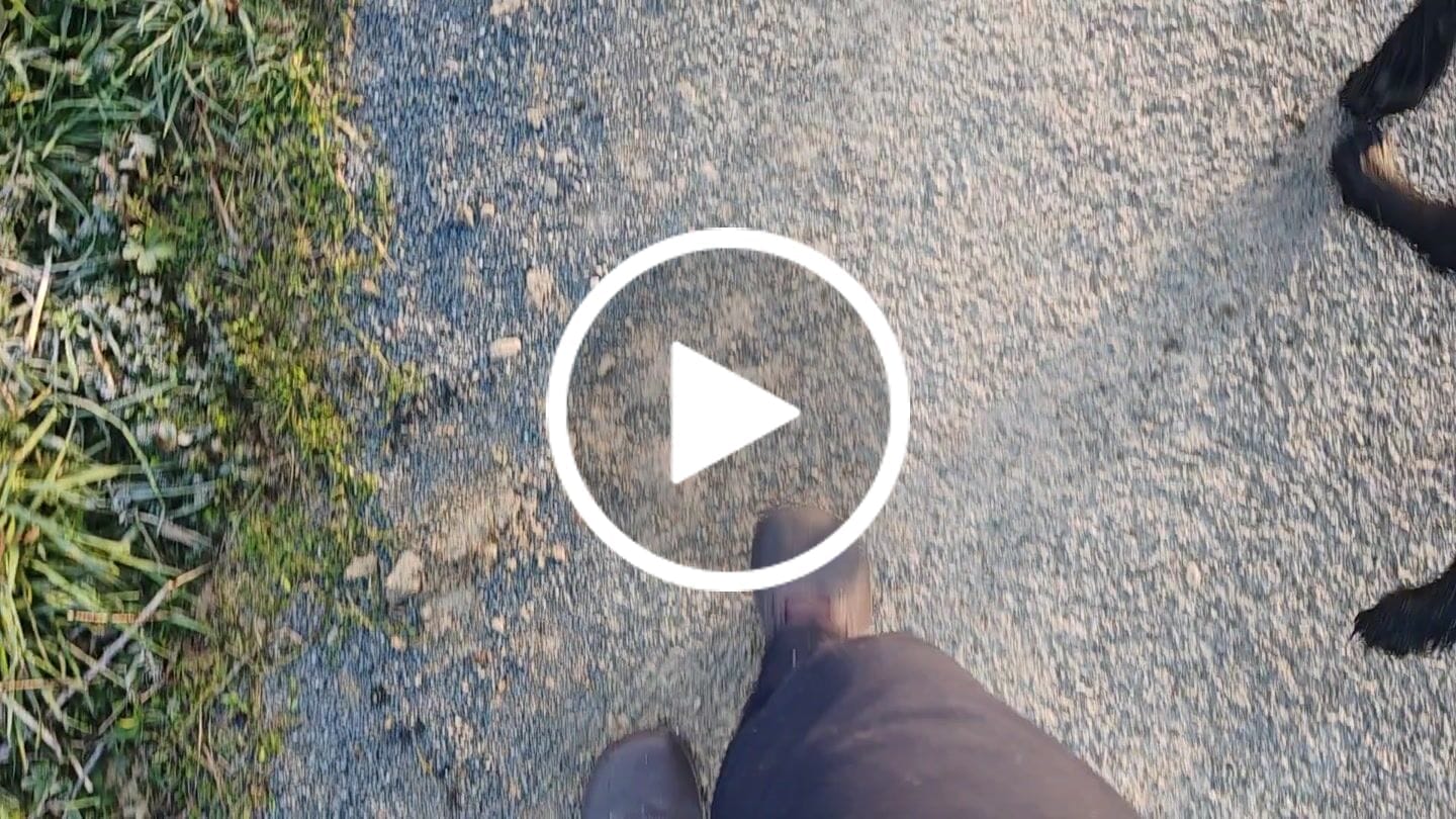 Customer video review of Fir - Barefoot Chaussures