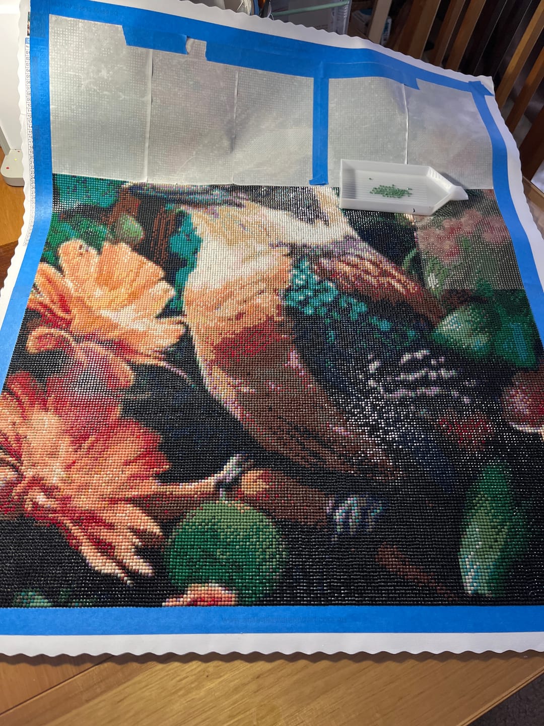 Customer photo review of Kookaburra V (Diamond Painting)