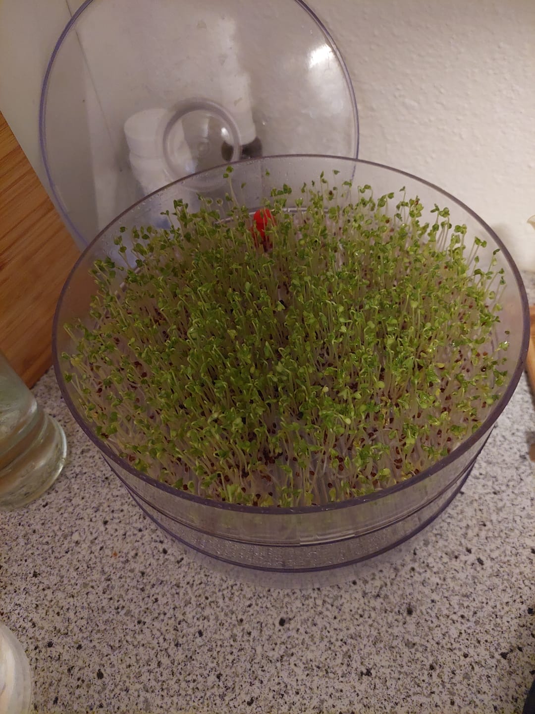 Customer photo review of Erdmandelmus Bio