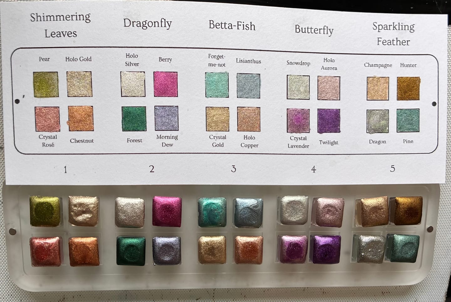 Customer photo review of Full Tutorial Set 1-5 Mini Pan Size incl. Booklet
