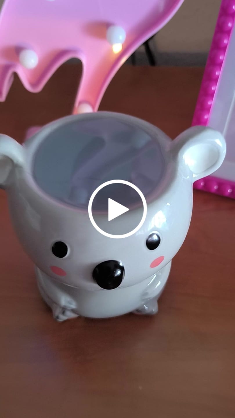 Customer video review of Quemador Koala