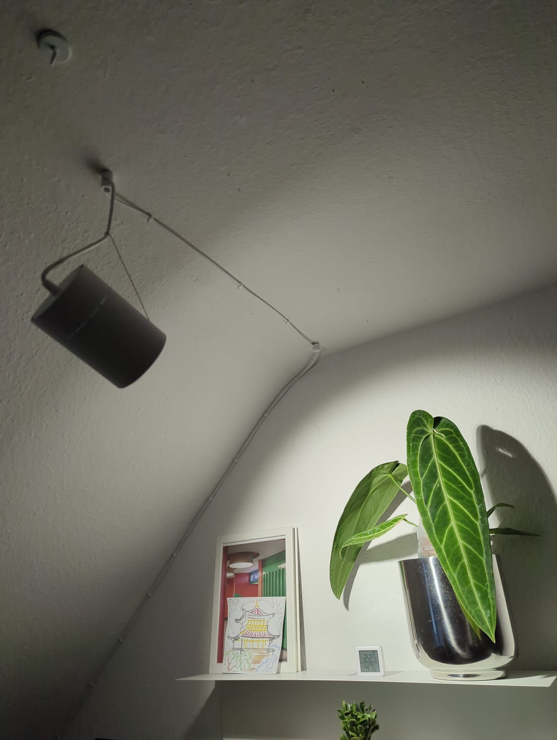 Customer photo review of Claria LED-Pendel­lampe für Pflanzen