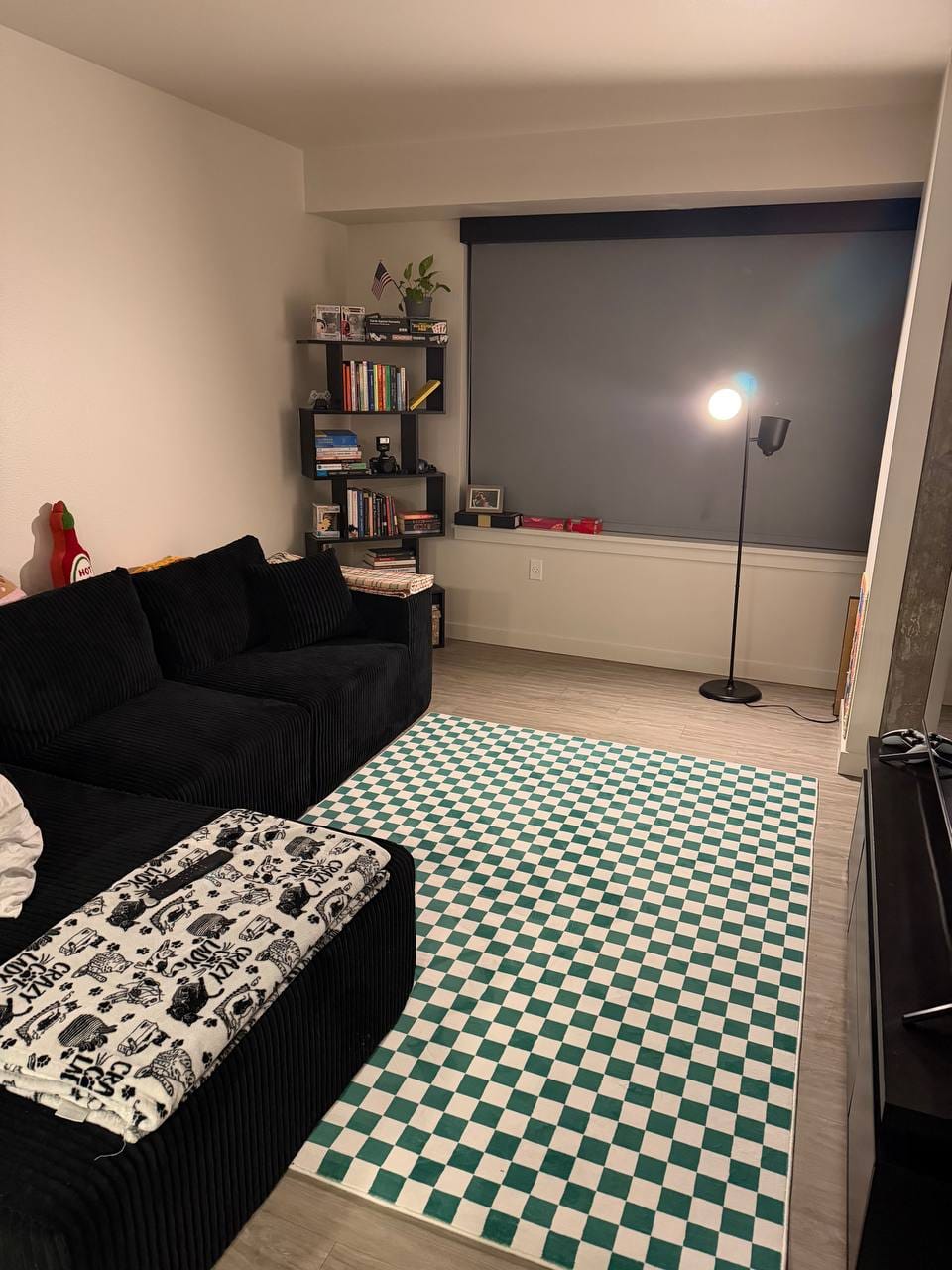 Customer photo review of Vibrant Checkered Rug