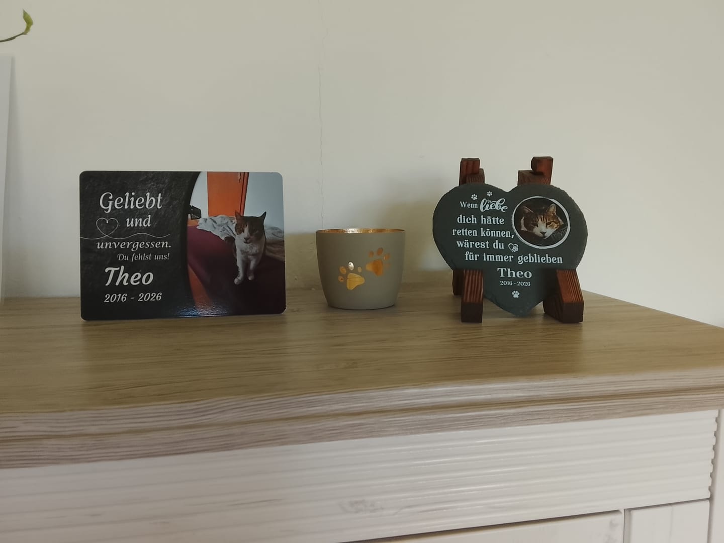Customer photo review of Katzen Gedenktafel mit Foto & Spruch (UV- & Wetterfest)
