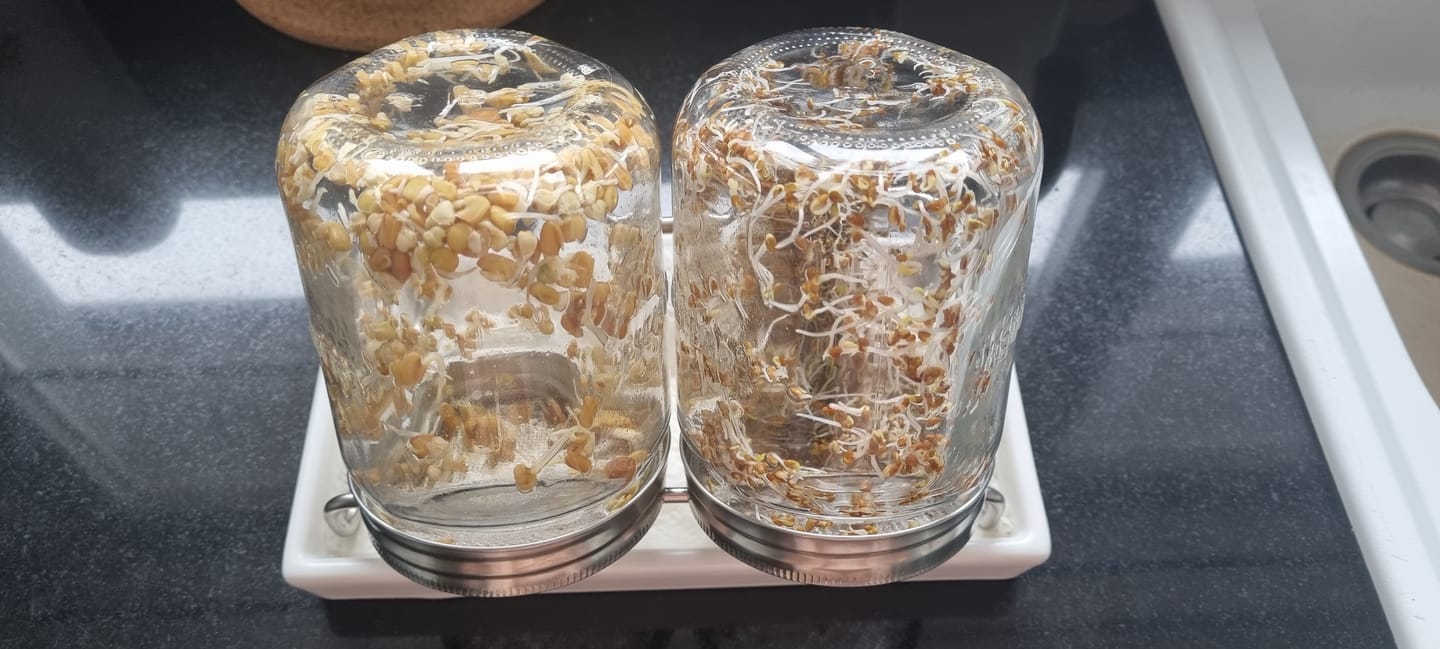 Customer photo review of ESCHENFELDER® Sprossenglas-Set ll (750ml) / Keramik WEISS