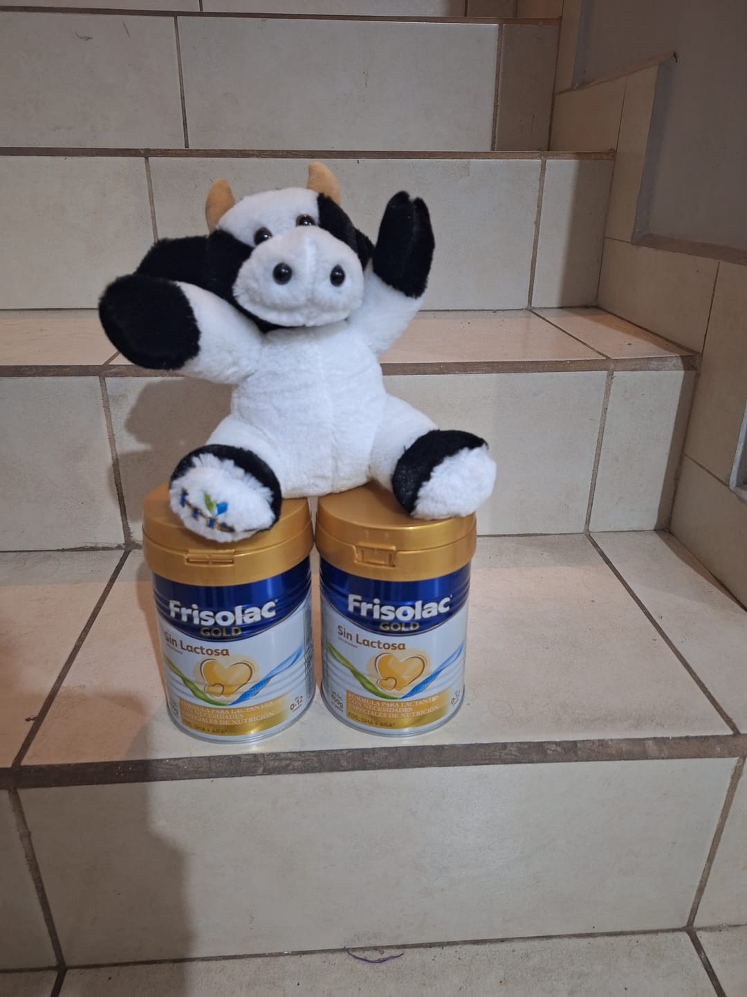 Customer photo review of Frisolac Gold Sin Lactosa (0 A 12 Meses) Pack C/ 800 Gr