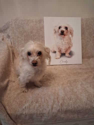 Customer photo review of Πορτραίτο Κατοικίδιου - Minimal