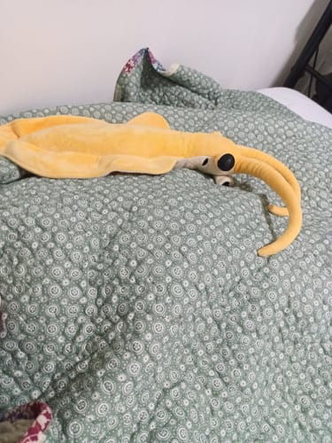 Customer photo review of Nectocaris Plush Toy – Lifelike Prehistoric Ocean Creature Stuffed Animal