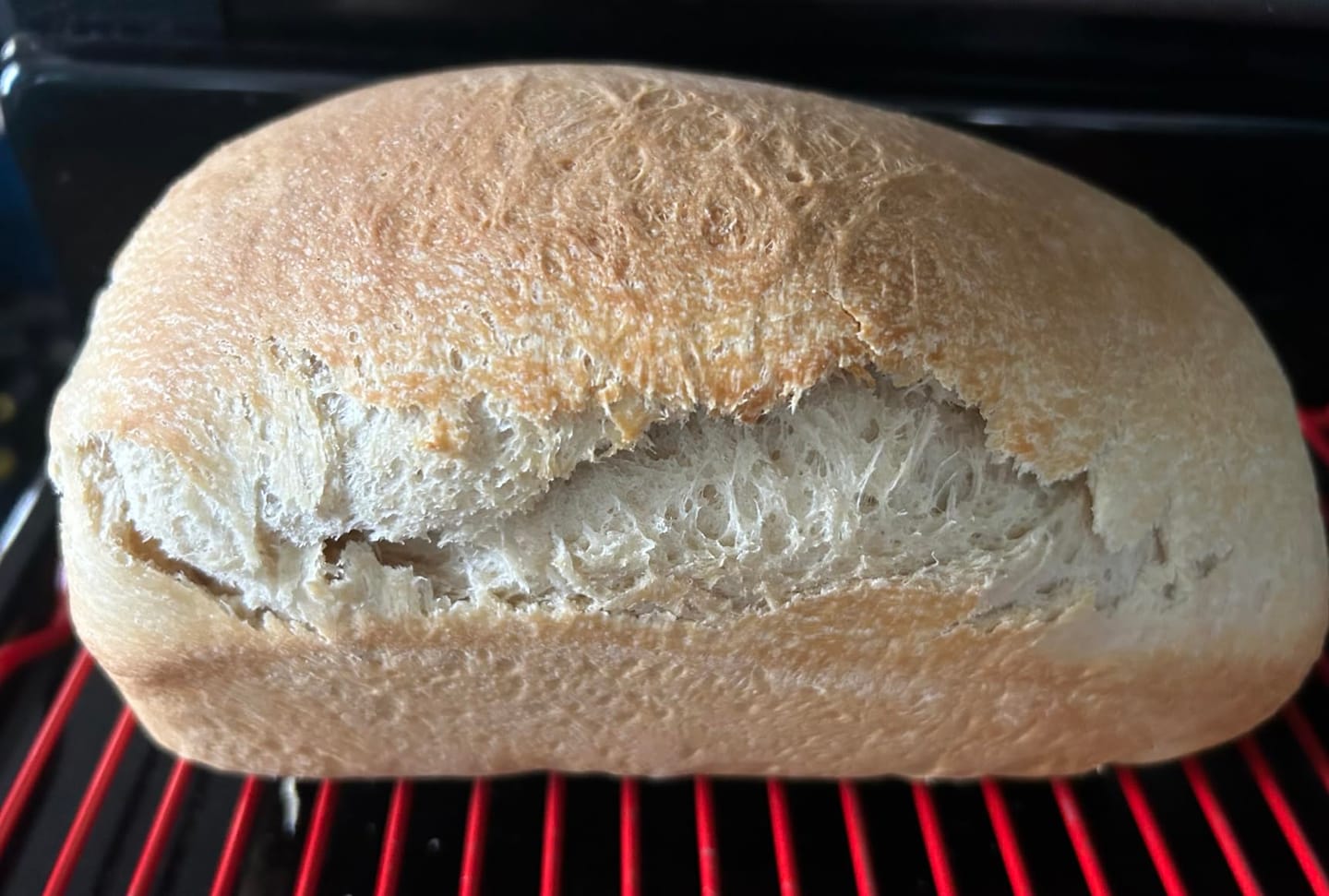 Customer photo review of Living Jin Foods: Sourdough Starter