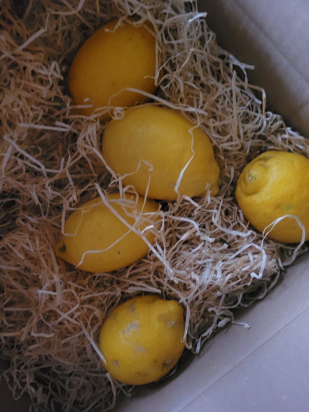 Customer photo review of Zitronen Bio Familie Bilardi Kalabrien 4kg Box Sparpreis %
