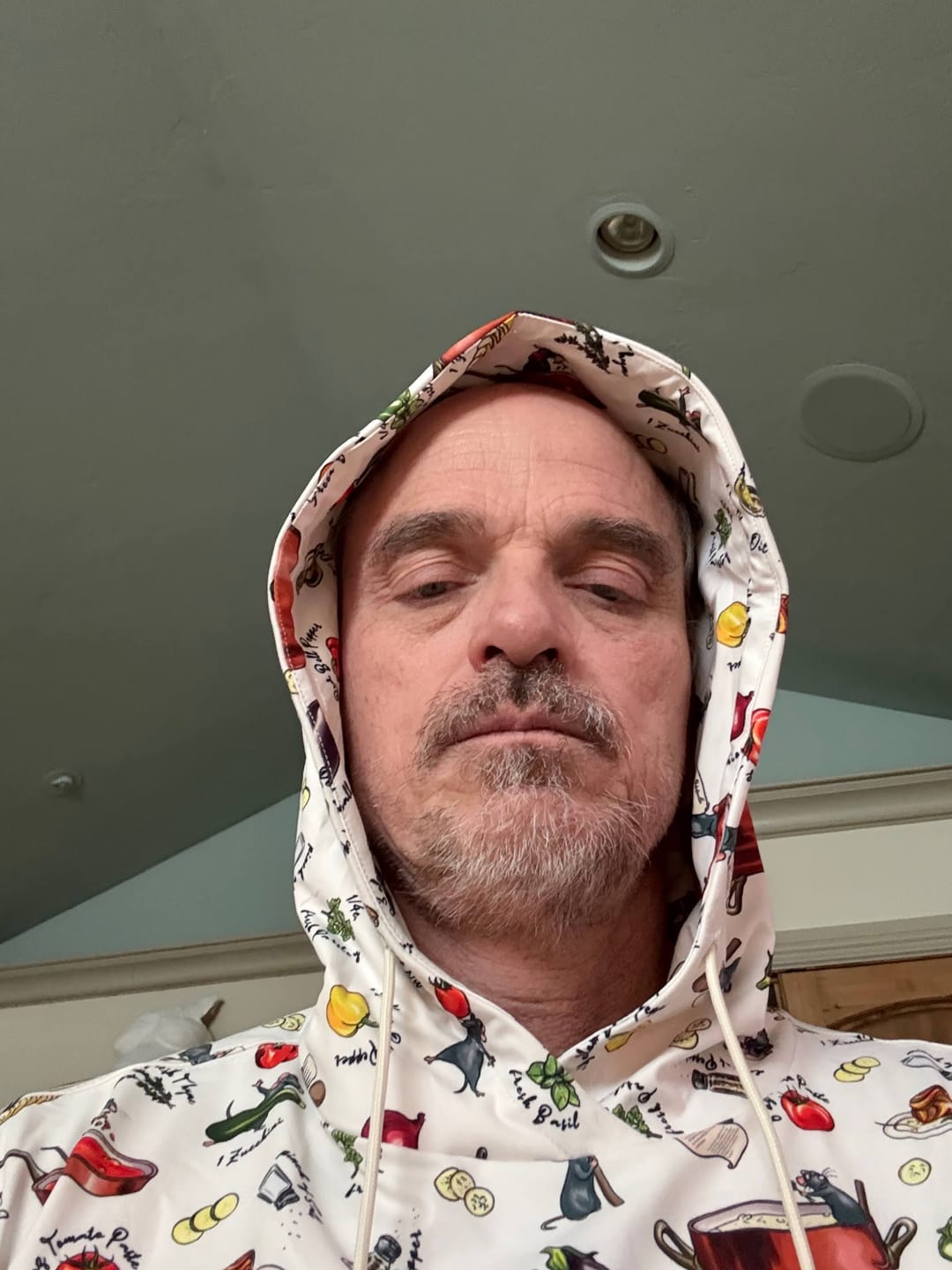Customer photo review of Disney and Pixar Ratatouille "Bon Rat-Pétit" – Performance Hoodie